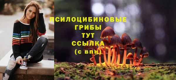 соль курить ск Алексин