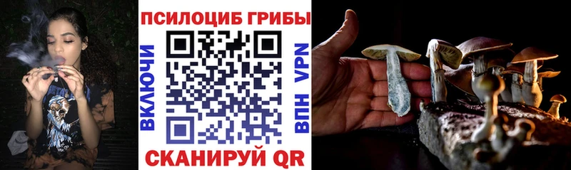 Псилоцибиновые грибы Magic Shrooms  Лагань 